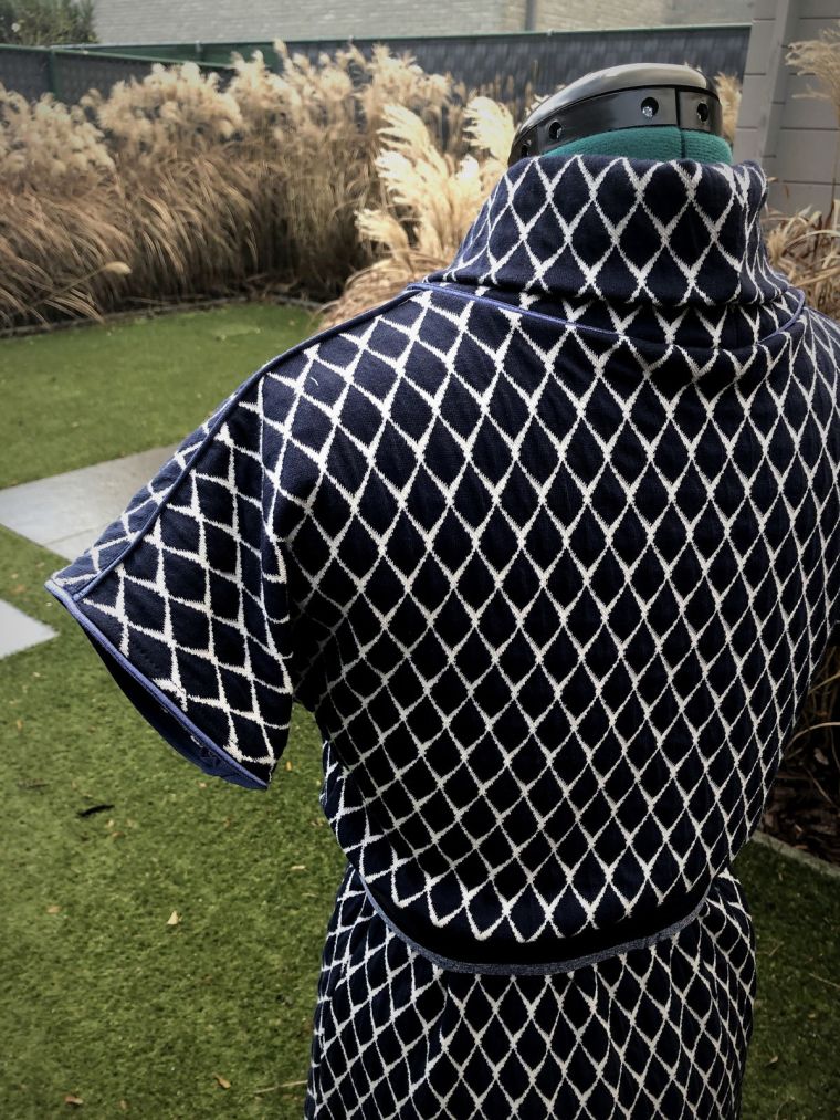 © Lieve Dedutyschaever 181209 07