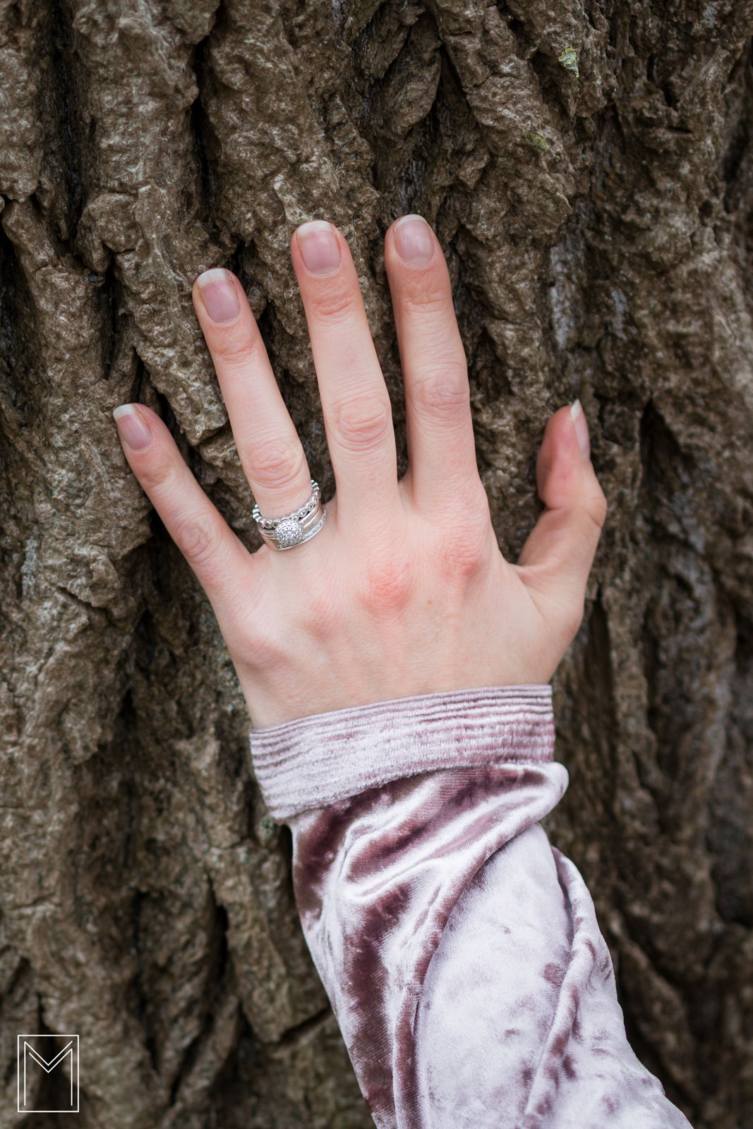 © Moors M - IMG_6814