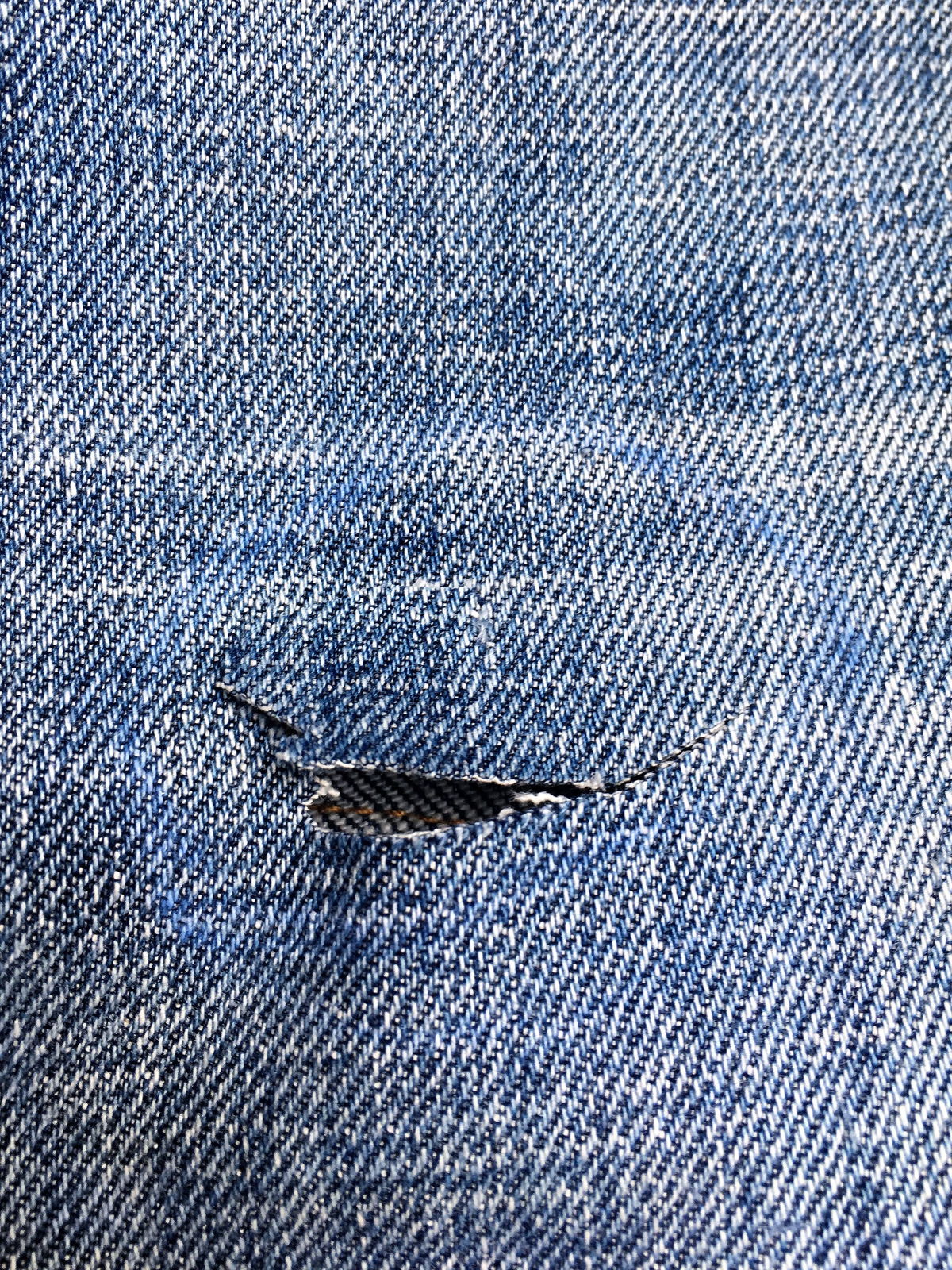 © Lieve Deduytschaever 160925 18