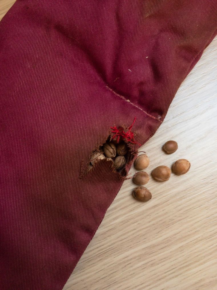 Lieve Deduytschaever 180225 02