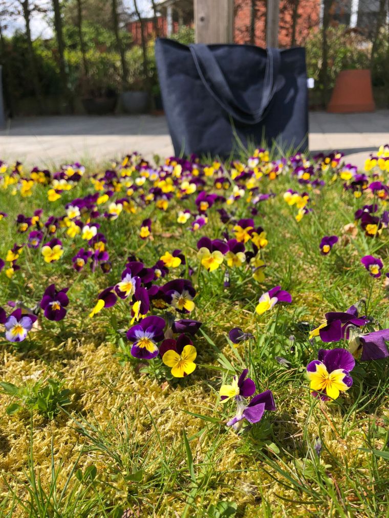 © Lieve Deduytschaever 190406 09