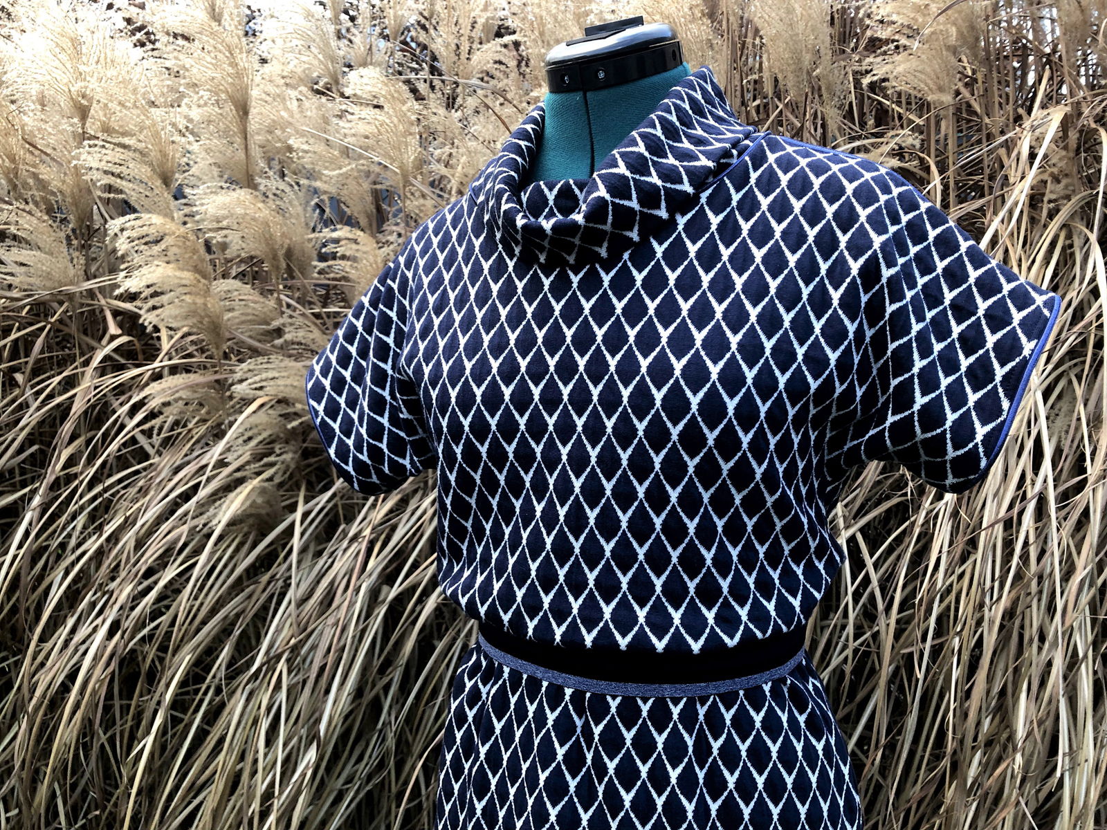 © Lieve Dedutyschaever 181209 06