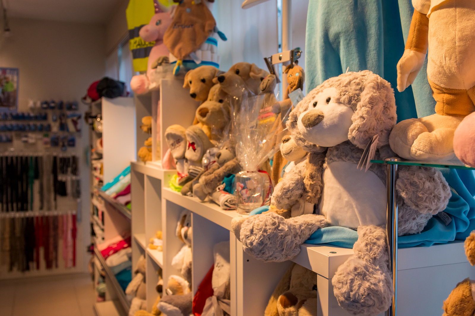 © Moors M - IMG_5213