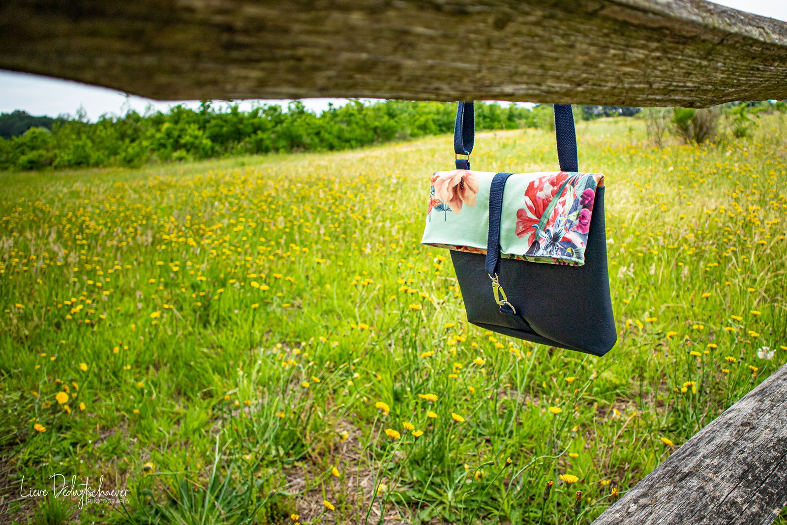 © Moors M - IMG_1878.jpg